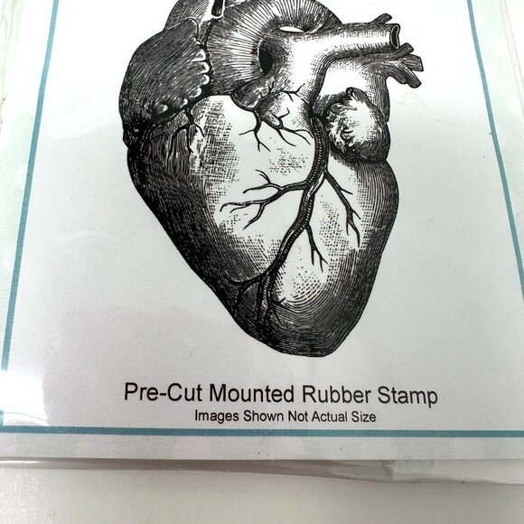 Creative Expressions Andy Skinner Heart Rubber Stamp CEASRS023 Anatomical - Picture 5 of 12
